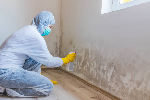 Licensed Mold Testing service in Yorktown, TX - WQB Mold Removal