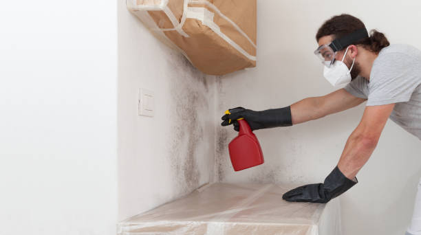 Professional Mold Testing technician working in Yorktown, TX