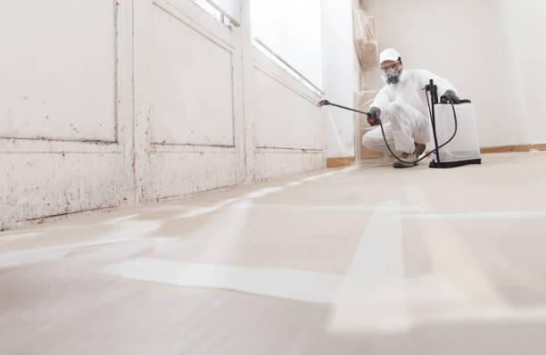 24/7 Emergency Mold Testing experts in Yorktown, TX