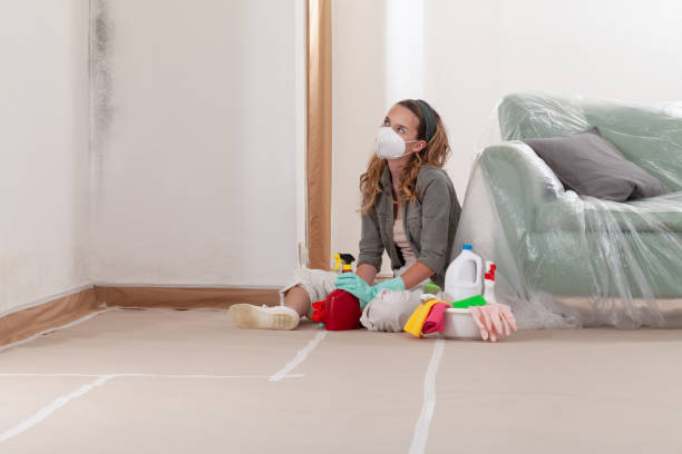 Reliable Mold Testing contractor in Yorktown, TX by WQB Mold Removal
